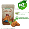 Fabeato Combo Pack of Almond, Pista, Raisin & Cashew (200gm Each) thumbnail