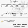 GreenOpia Naturals Evening Primrose Oil Vegetarian Capsule thumbnail