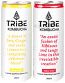 Tribe Kombucha Combo Pack of Probiotic Sparkling Super Drink Ginerade & Hibis-Kiss (250ml Each) thumbnail
