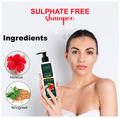 Fab O Naturals Hair Shampoo with Fenugreek & Hibiscus Shampoo thumbnail