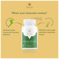 Raaj Ayurvedic Pharmacy Giloy Tulsi Ayurvedic Tablet | Boost Immunity | Respiratory Problem | Weight Loss | Joint pain | Blood Pressure thumbnail