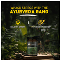 Muscleblaze Koshveda Ashwagandha Pro Tablet thumbnail