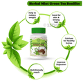 Jayshankar Ayurved Moringa Mint Green Tea thumbnail