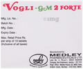 Vogli-GM 2 Forte Tablet SR thumbnail