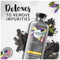 Herbal Essences Bio:Renew Detox Black Charcoal Shampoo thumbnail