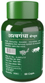 Herbal Canada Wheat Grass Capsule thumbnail