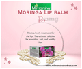 Mimansha Moringa Lip Balm Rose thumbnail