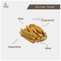 Desi Jadi Buti Devdar Trunk thumbnail