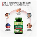 Vlado's Himalayan Organics Plant Based Vitamin B12 Natural Vegetarian Capsule thumbnail