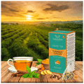TeaNourish Green Tea Bag Turmeric Ginger thumbnail