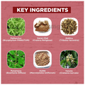 Dudhwa Herbs Pathril Syrup thumbnail