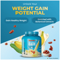 Patanjali Nutrela Weight Gain Supplement with Glutamine, Protein & Permitted Botanical Extracts Powder Banana thumbnail