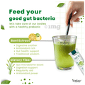 Yugap YuGut Gut Health Sachet (10gm Each) Green Apple No Added Sugar thumbnail