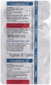Gabrica Capsule SR thumbnail