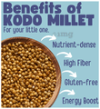 TummyFriendly Foods Combo Pack of Cereal Foxtail Millet, Little Millet & Kodo Millet (300gm Each) thumbnail