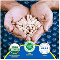 Fast&Up Ashwagandha KSM-66 500mg Capsule thumbnail