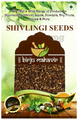 Birju Mahavir Shivlingi Seeds thumbnail