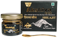 Akshiva Herbals Pure Shilajit Resin From the Tip of the Himalayas (20gm Each) thumbnail