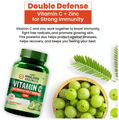 Vlado's Himalayan Organics Vitamin C as Amla Extract 1000mg Tablet for Immnunity & Skin Care Tablet thumbnail