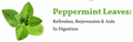 Sancha Refreshing & Cooling Digestive Peppermint Green Tea thumbnail