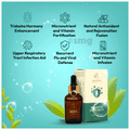 Balance Ayurveda The Balance Immunity Drops thumbnail