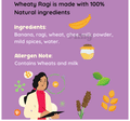 Roro Saur Nourishment-Rich Puree 6+ Months (100gm Each) Wheat-Y Ragi thumbnail