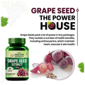 Vlado's Himalayan Organics Grape Seed Extract 500mg for Healthy Cholesterol Level thumbnail