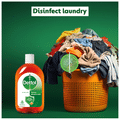 Dettol Antiseptic Disinfectant Liquid thumbnail