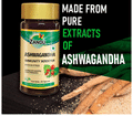 Zandu Ashwagandha Immunity Booster Capsule (60 Each) thumbnail