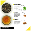 Teacurry Cleanse Tea Bag (2gm Each) thumbnail