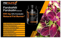 Prothlete Forskohlii Forskolin Extract 500mg Veg Capsule thumbnail
