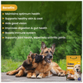 Ykibble Oven Baked Premium Dog Food for Adult & Senior Dogs thumbnail