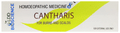 LDD Bioscience Cantharis Ointment thumbnail