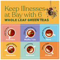 Kapiva Paachaka Green Tea Bag (2gm Each) thumbnail