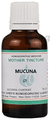 Lord's Mucuna Mother Tincture Q thumbnail