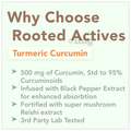 Rooted Active Naturals High Potency Turmeric Curcumin With Reishi Mushroom & Black Pepper Extract 1300mg Veg Capsule thumbnail