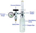 Industryowl Oxygen Flow Meter with Rotameter & Humidifier Bottle thumbnail