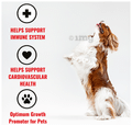 Wow Dog Multivitamin Syurp Supplement with Biotin thumbnail