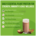 MuscleBlaze bGreen Daily Essential Plant Protein Powder Chocolate thumbnail