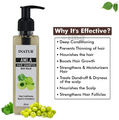 Inatur Amla Hair Repair Shampoo thumbnail