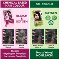 Indus Valley Organically Natural Hair Colour Gel Black thumbnail