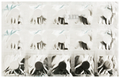 Vitahour CDZ Chewable Tablet thumbnail