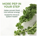 Mega Food Balanced B Complex Tablet thumbnail