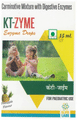 KT-Zyme Oral Drops Pineapple thumbnail