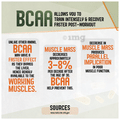 Zenith Nutrition Sports BCAA 1000mg Vegicap thumbnail