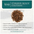 Bixa Botanical Coleus Powder thumbnail