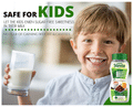 Bliss of Earth Premium Extract Stevia The Original Sweetener Powder thumbnail