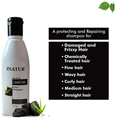 Inatur Charcoal Shampoo thumbnail