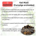 Darshini Kali Musli/Black Musli/Curculigo Orchiodes Powder thumbnail