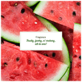 Plum Body Lovin Colada Gel Lotion Tropical Tango thumbnail